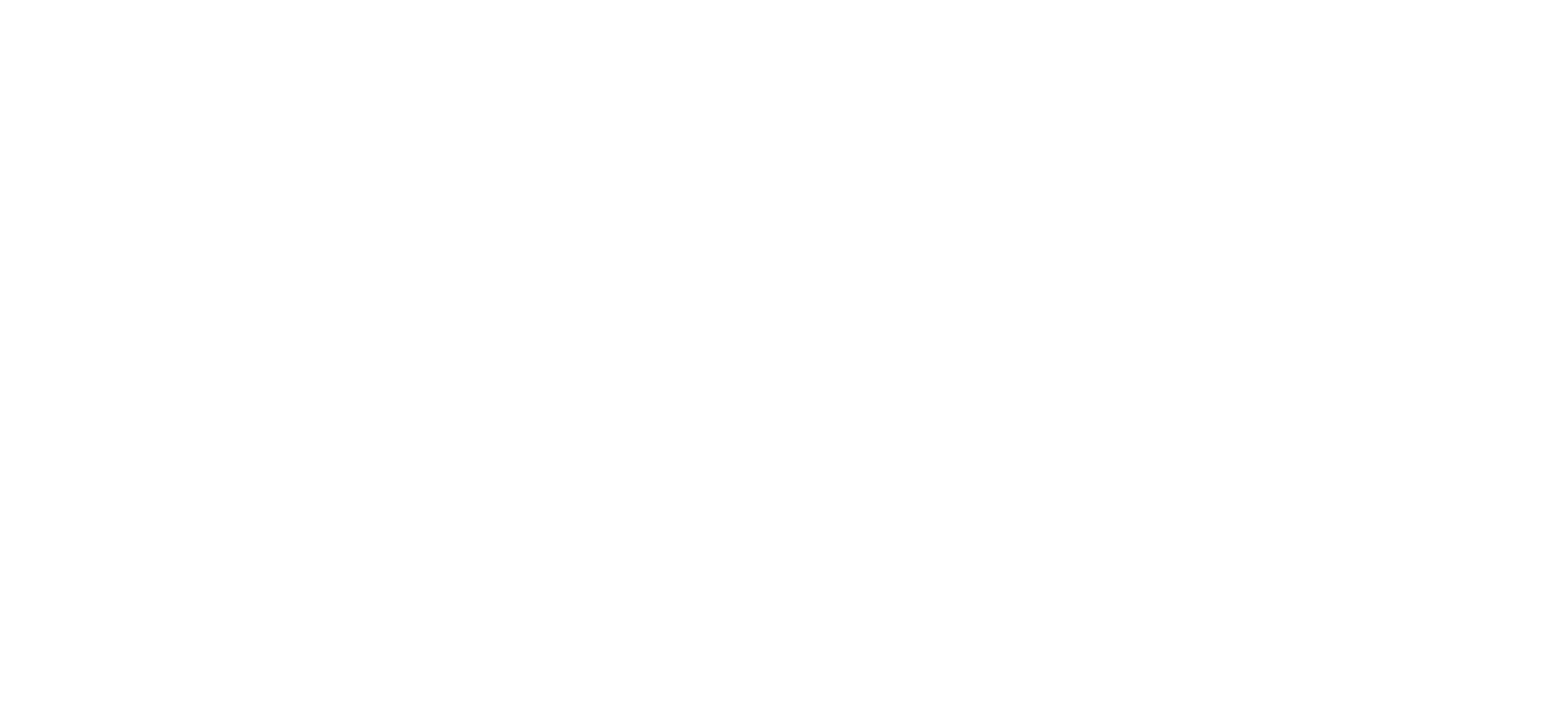 Fan Bruh